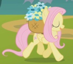 FlutterShy