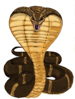 elcobra