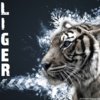 Liger