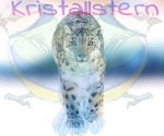 Kristallstern