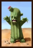 Cactus