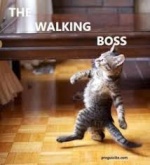 WalkingBOSS