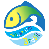 Aquarium Brasil 1-21