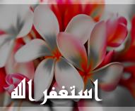 الحِـوآراتْ و النِـقَـآشـآت・ 30895-19