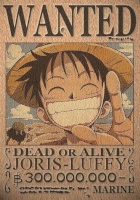 Joris-luffy