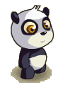 Pandawonin