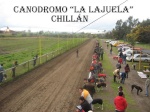 Galgos Chillán