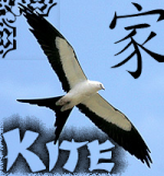 Kite