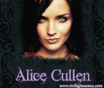 alicee cullen