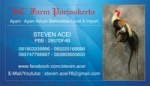 steven acei