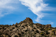 JoshuaTree