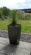 Yucca 6948-21