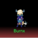 Burnx