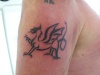 Tattoo's of the week! 102_6312