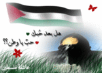 هديل فلسطين