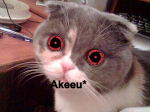 akeeu