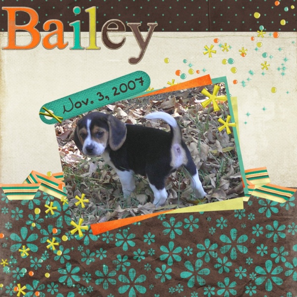 Bailey