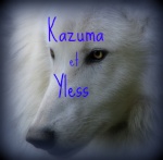 Kazuma/Yless