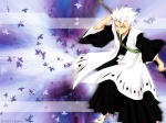 Hitsugaya Hyuusaki