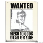 MeKo213