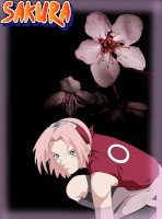 Sakura Haruno,,*