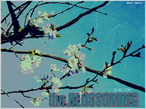 The Blossoming