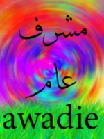 awadie6