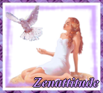 Zenattitude