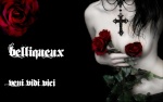 belliqueux71