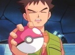 brock