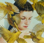 Colibri