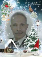 mostafa emam