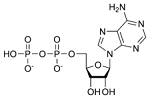 Adénosine Diphosphate