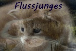 Flusspfote