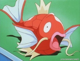 Sr. Magikarp