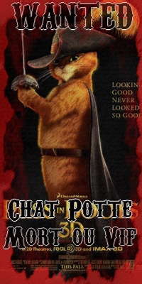 Chat Potté