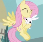 FlutterAmazing