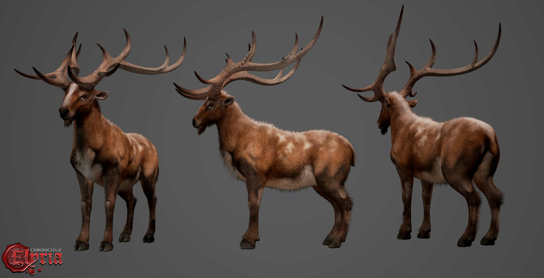 dryas-elk