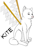 Kite