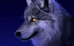 Wolfsblut