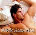 petit_scarabe