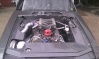 heres a close up of the engine bay of my stang