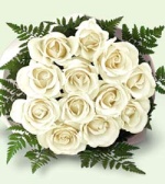 white Rose