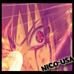 nico-usa