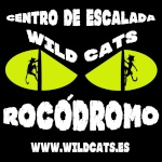 Wild Cats