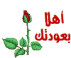 ترحيب وتهنئه بعودة ايمن التمن  358774