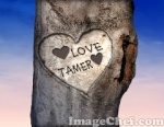 love tamer