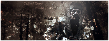 World at War Sig