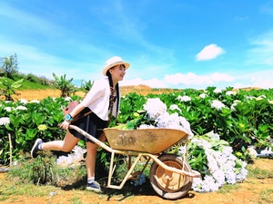 Miss Vietnam World 1607-31