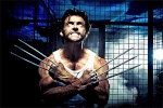 wolverine